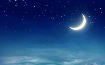 夏天的夜晚的作文模板5篇