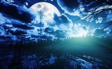 静夜作文7篇