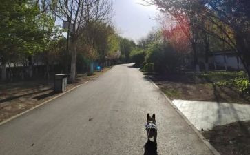 向前迈了一步作文8篇