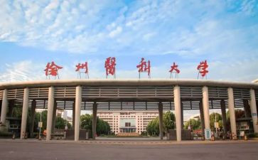2024年中医科个人年终总结6篇