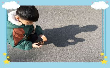 光和影子的教案通用5篇