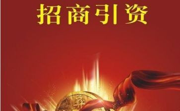 招商引资个人年度工作总结8篇