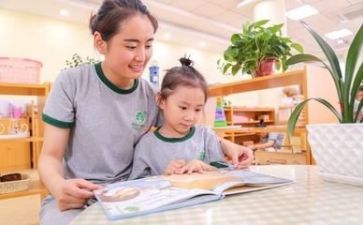 培训后幼师心得体会参考7篇