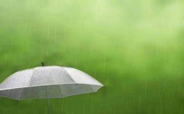 听雨作文800字作文6篇