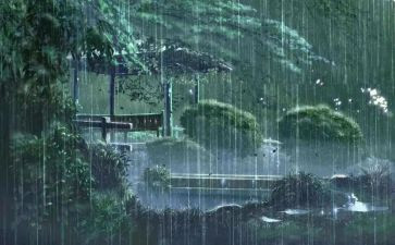 黑雨心得体会2000字5篇