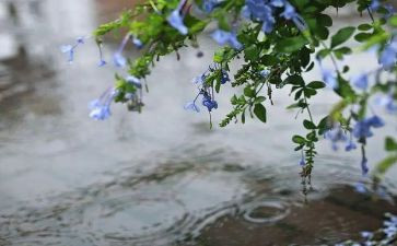 英雄雨来的读后感推荐8篇