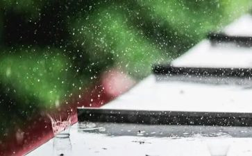 雨作文初一600字优秀7篇