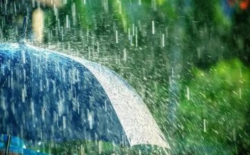 雨水作文通用7篇