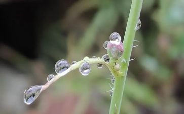 雨的优秀作文推荐8篇