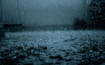 对雨的感受作文最新5篇