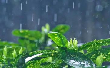 读英雄雨来读后感8篇
