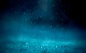 春雨的作文300字作文5篇
