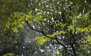 对雨的感受作文优秀6篇