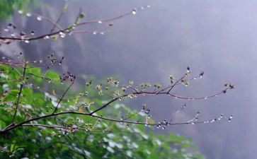 雨来小英雄演讲稿7篇