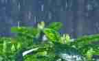 清明雨作文优秀7篇