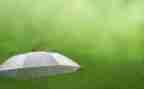 关于雨的作文500字推荐7篇