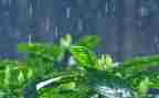 春天的雨的作文400字优质8篇