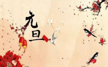 元旦活动小班方案策划5篇