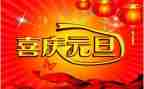 幼儿园小班迎元旦教案8篇