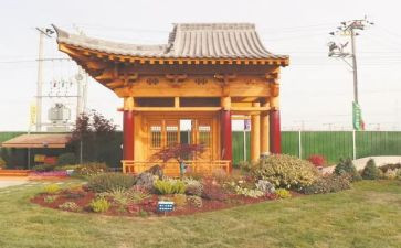 园建管理个人总结范文模板8篇
