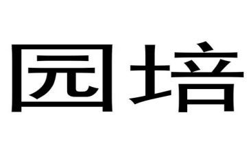 幼儿园培训后心得8篇