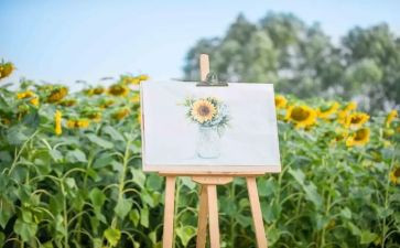 四叶草的约定读后感8篇