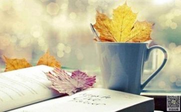 阅读班教学计划5篇