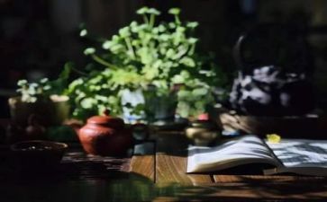 阅读与生活演讲稿5篇