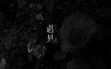 关于遇见作文最新5篇