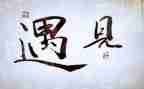 遇见猫作文600字8篇