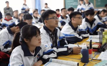 语数教师年度总结报告模板8篇