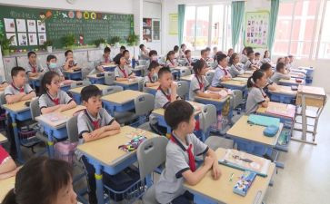 语数教师年度总结报告7篇