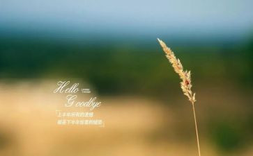 再见2023心得体会5篇