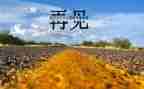 再见旧时光作文5篇