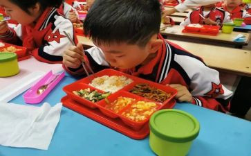 营在校园活动总结精选7篇