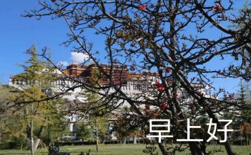 中学生早恋的危害演讲稿8篇
