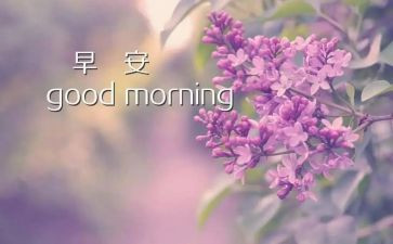 早教老师的心得8篇