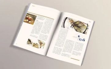 杂志广告合同7篇