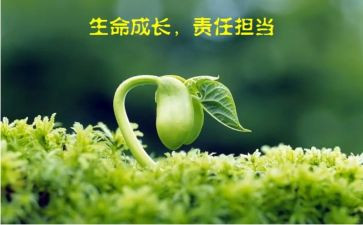 教师责任演讲稿最新8篇