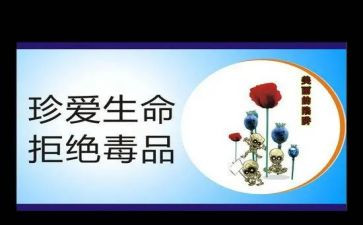 张子权英模心得体会8篇