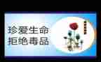 张子权英模心得体会8篇