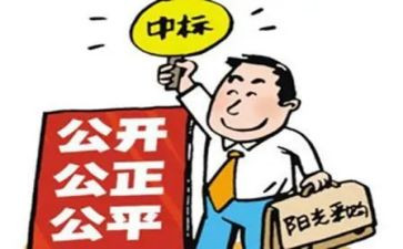 招标办个人工作计划6篇