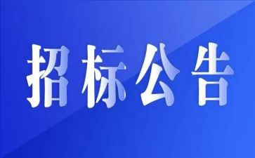 应招标为招标自查报告6篇