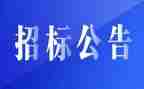 应招标为招标自查报告6篇