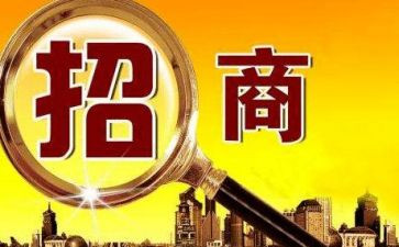 招商工作总结个人范文5篇