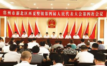 2023镇代表的述职报告精选5篇