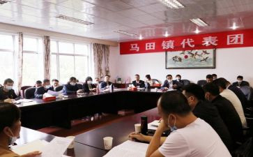 2023镇代表的述职报告优秀5篇