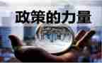 民族政策宣传总结6篇