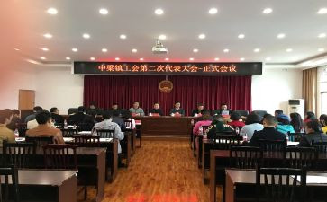 镇工会财务自查报告8篇