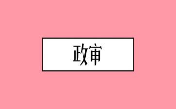 政审中个人总结7篇